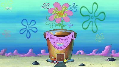La maceta de flores