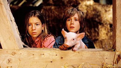 Rudy, el cerdito de carreras