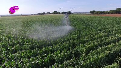 Ahorra agua y evita la escasez de alimentos