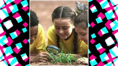 Nos gusta observar la naturaleza en verano