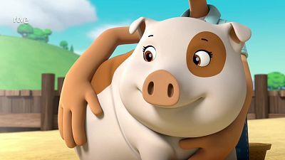 Cerdito surfero
