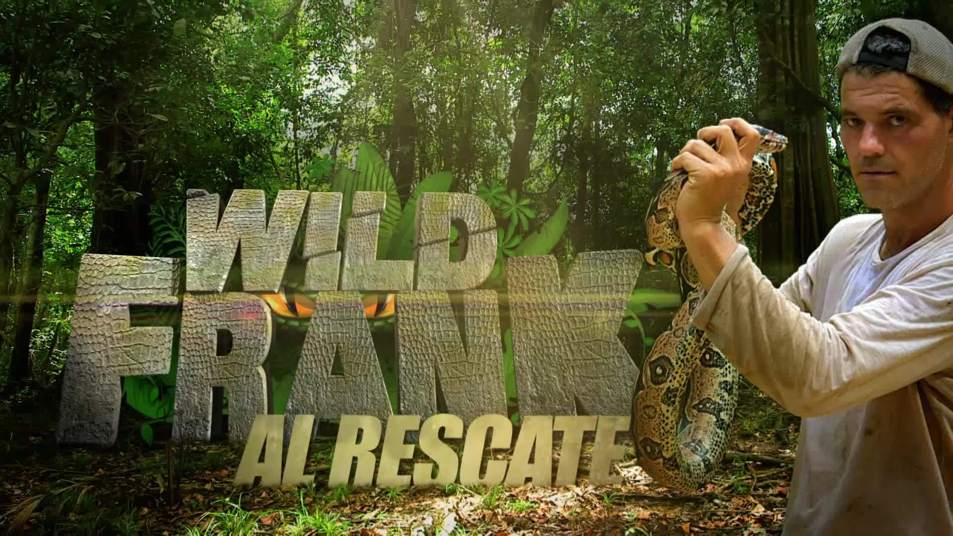 8x01 Al rescate: Episodio 1