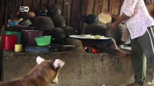El cultivo ilegal de amapola en Guerrero