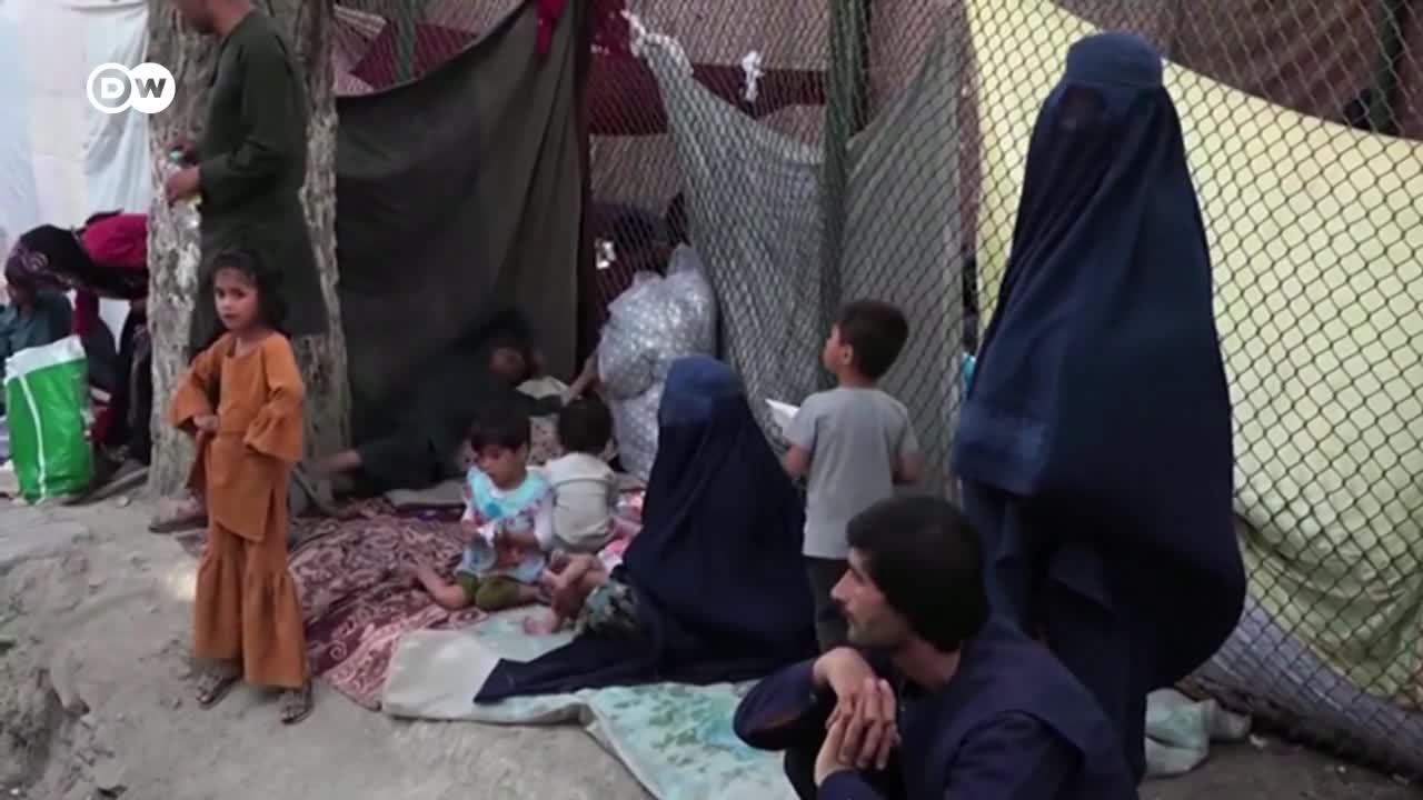 Países de América Latina ofrecen acogida a refugiados afganos