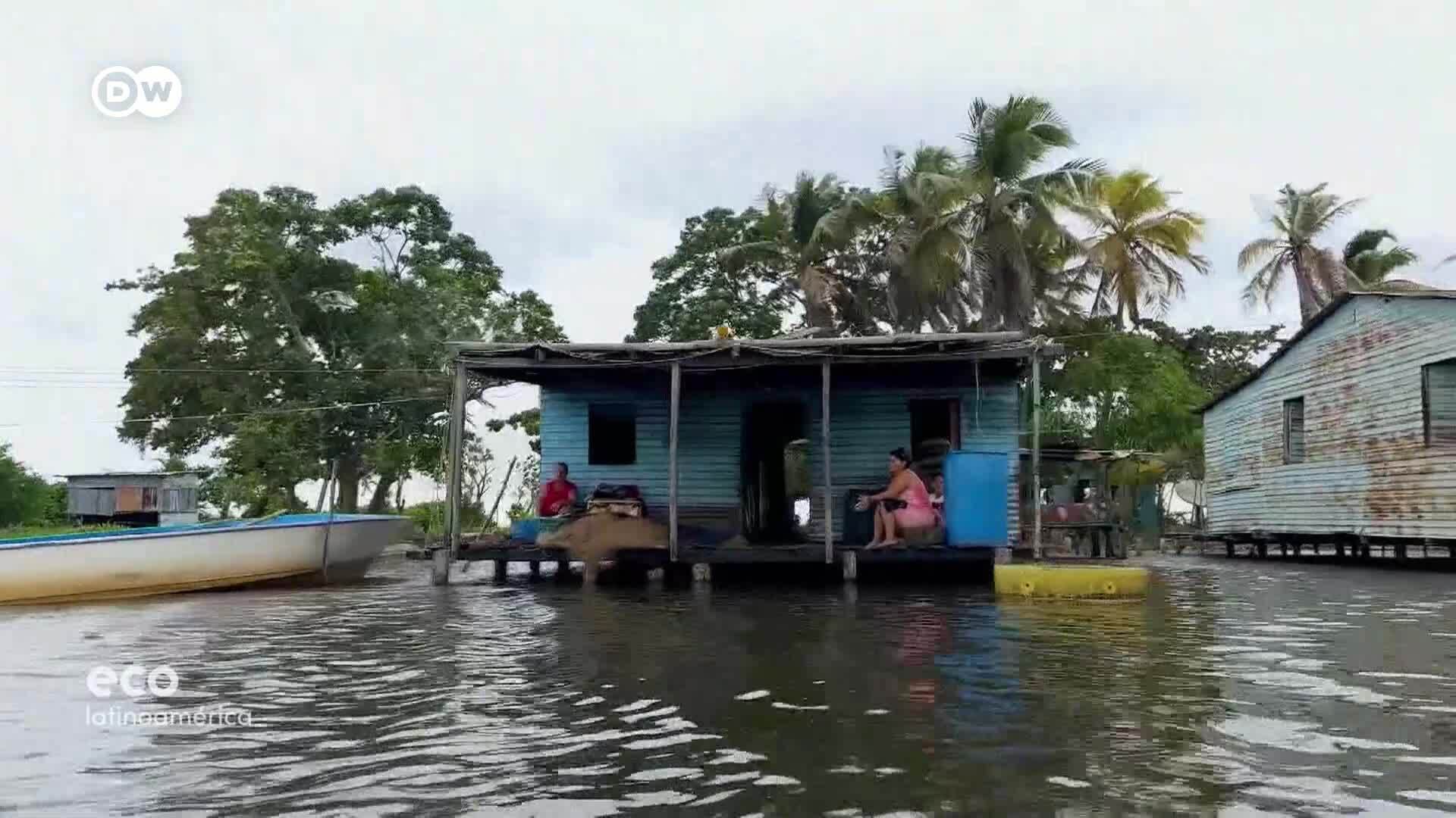 Fuerza natural