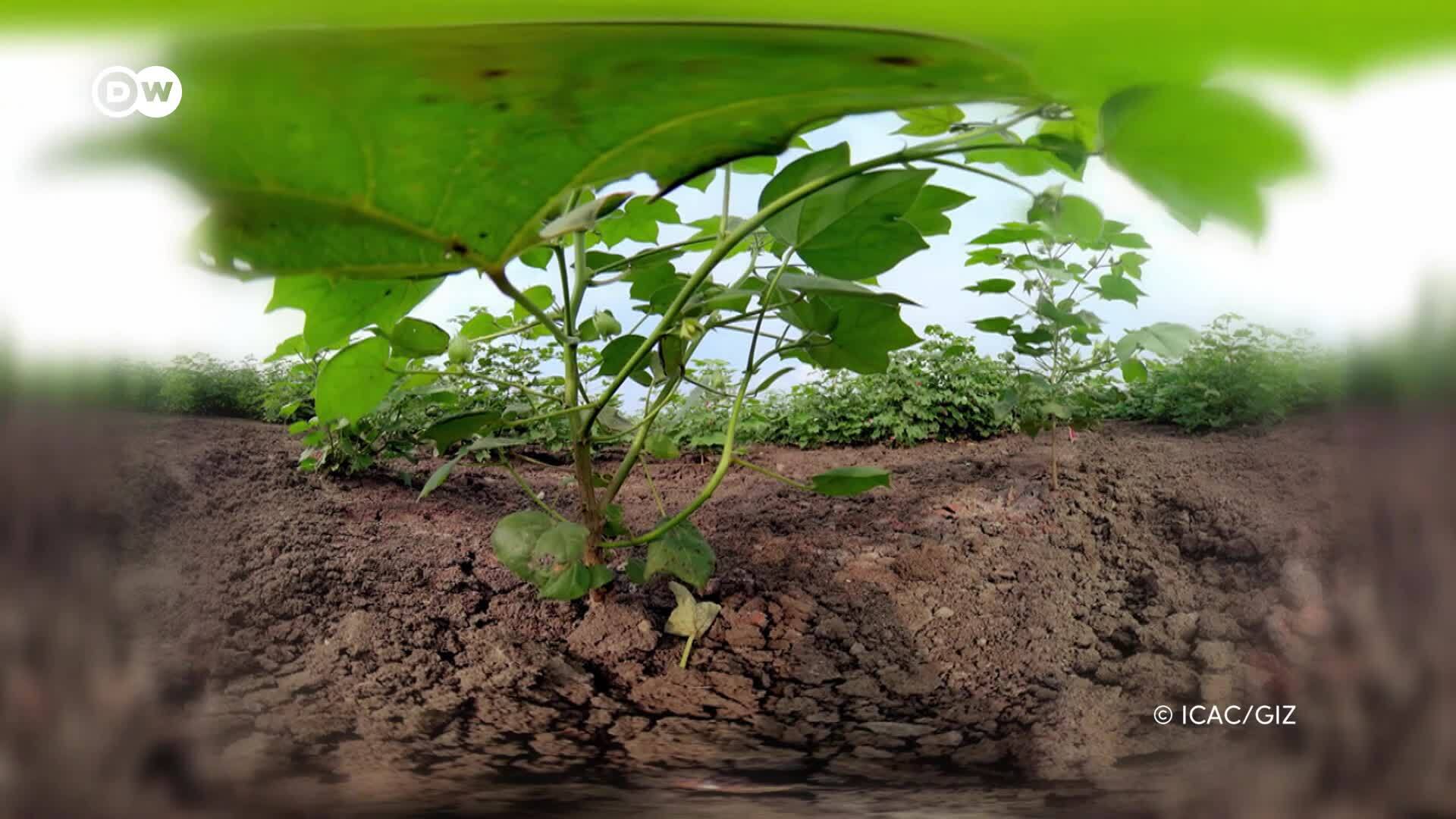 Smart Farming: tecnología para una alimentación sostenible