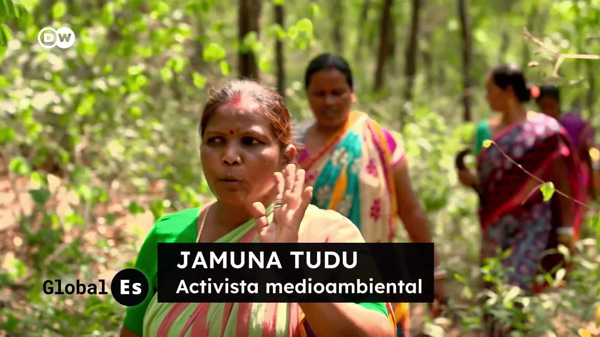 Cómo las mujeres indias protegen los bosques