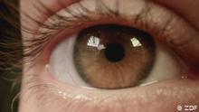 Ojos sanos, vista clara - Los nuevos tratamientos oculares