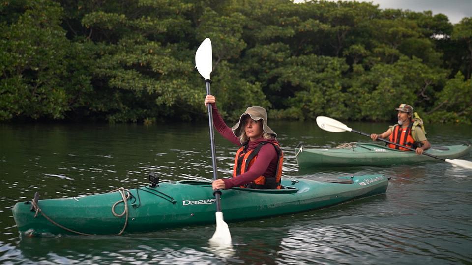 Iriomote: un paraíso a explorar en kayak o a pie