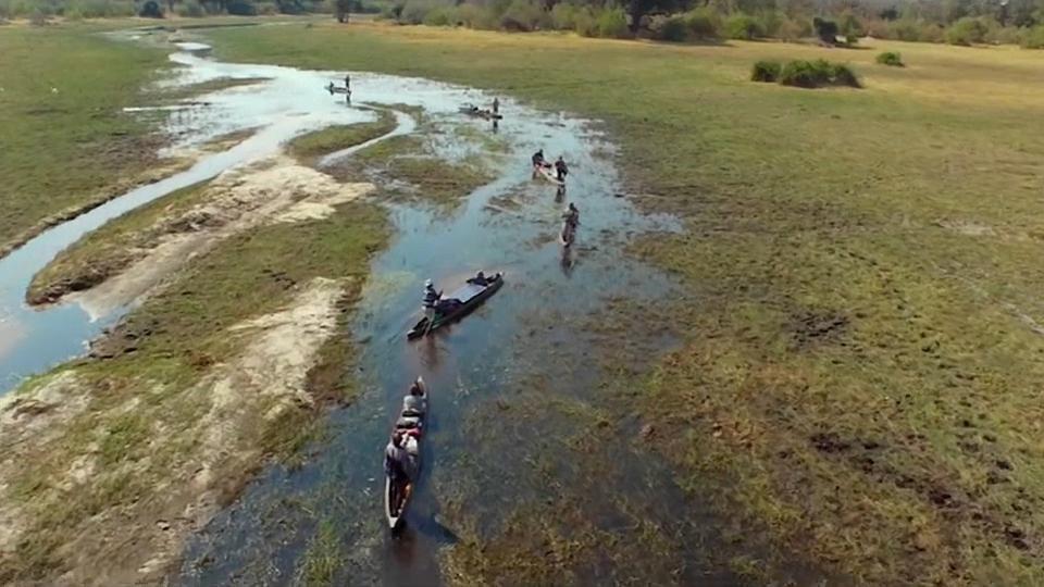 Into the Okavango, donde el hombre no es el rey