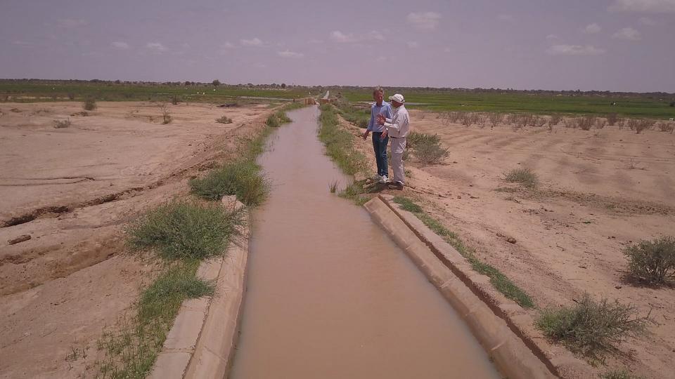 Los arrozales de Podor, ejemplo de la cooperación japonesa en la agricultura senegalesa.