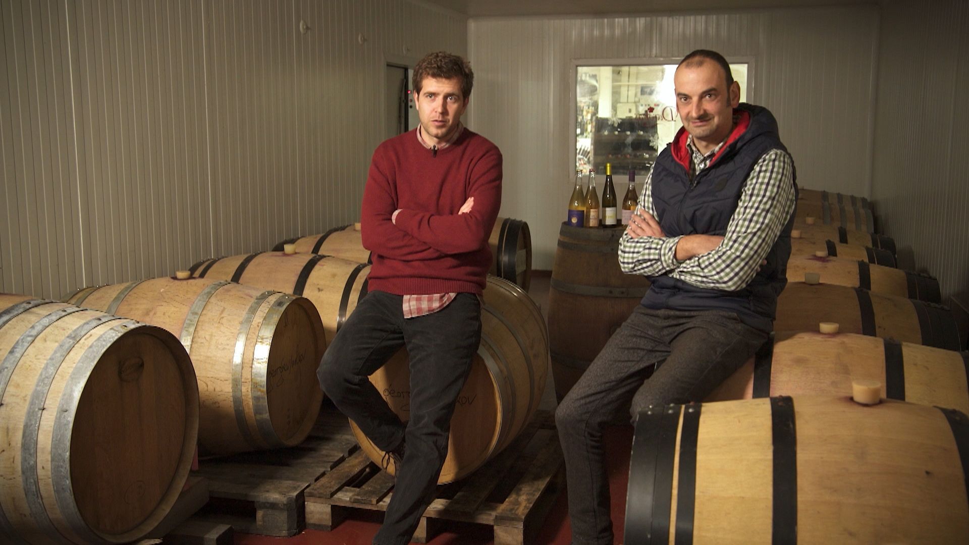 Conozca a la nueva generación de viticultores búlgaros