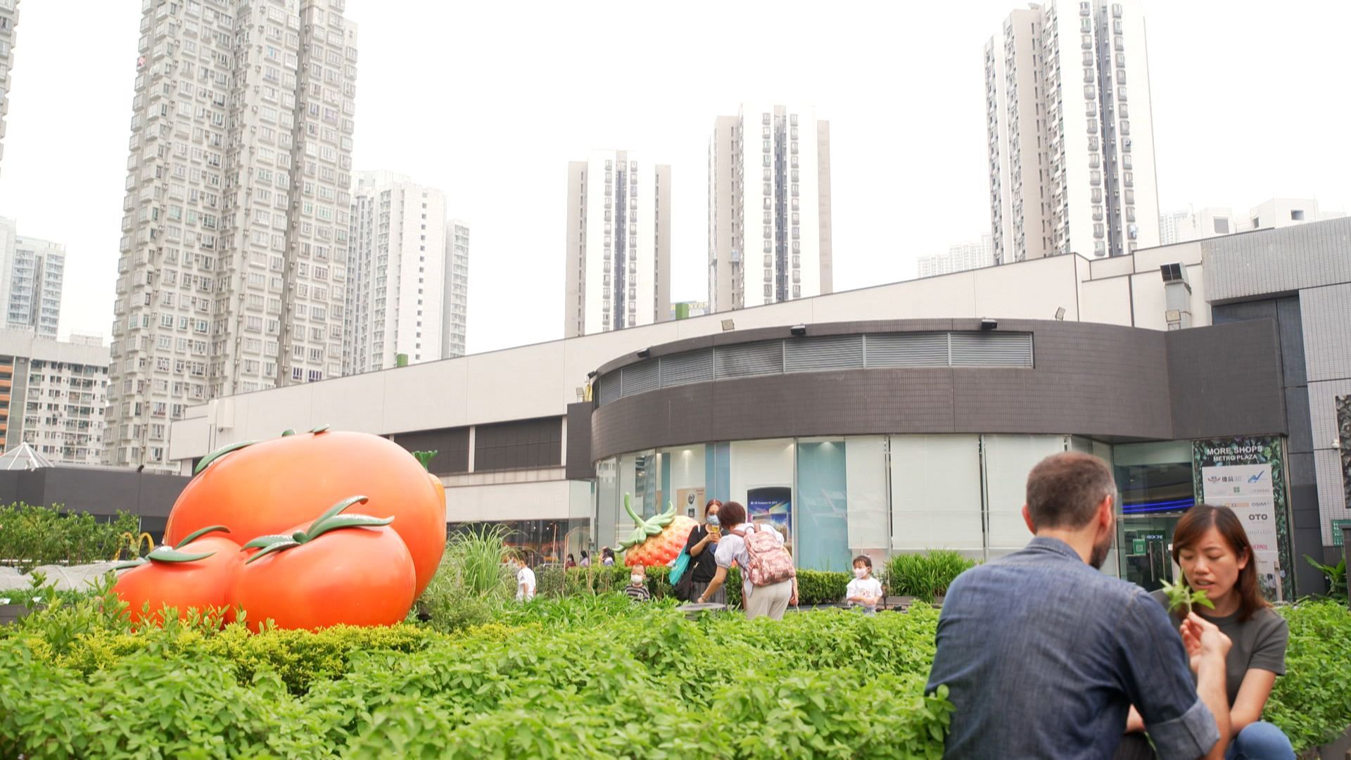 Huertos urbanos y posibilidades para empresas emergentes en Hong Kong