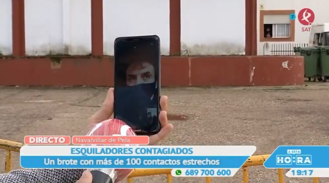 Hablamos con los esquiladores uruguayos implicados en un rebrote en Navalvillar de Pela