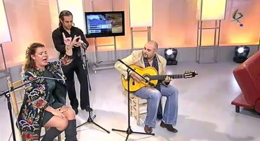 Flamenco (06/11/12)