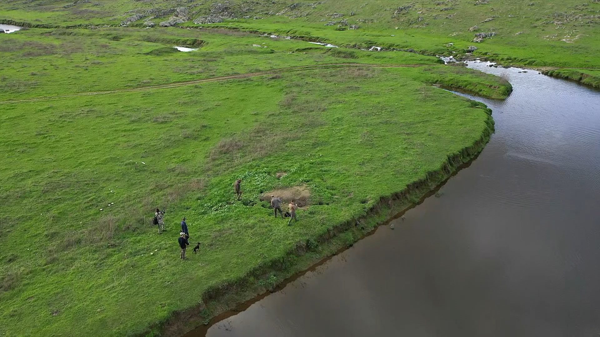 Buscando las raposas en las bocas del Jumadiel con perros Jagd Terrier