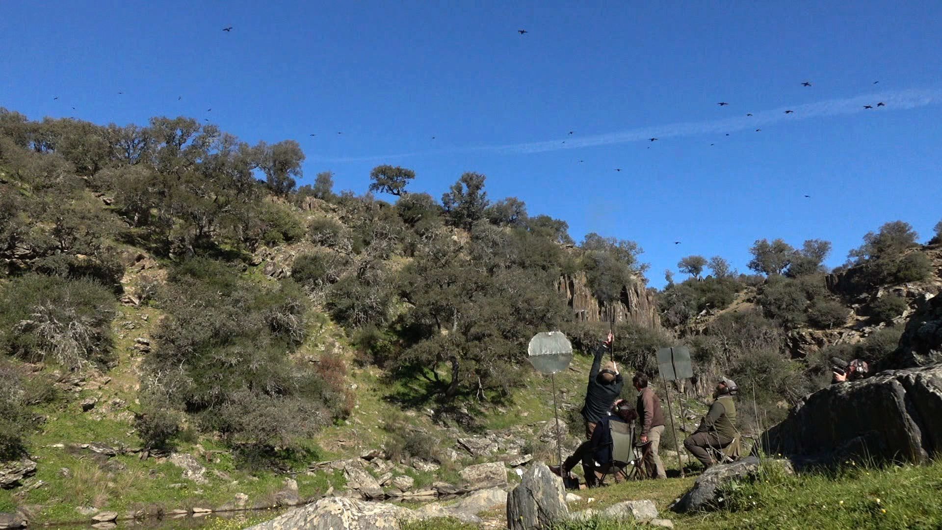 Conociendo a fondo el ojeo de perdiz