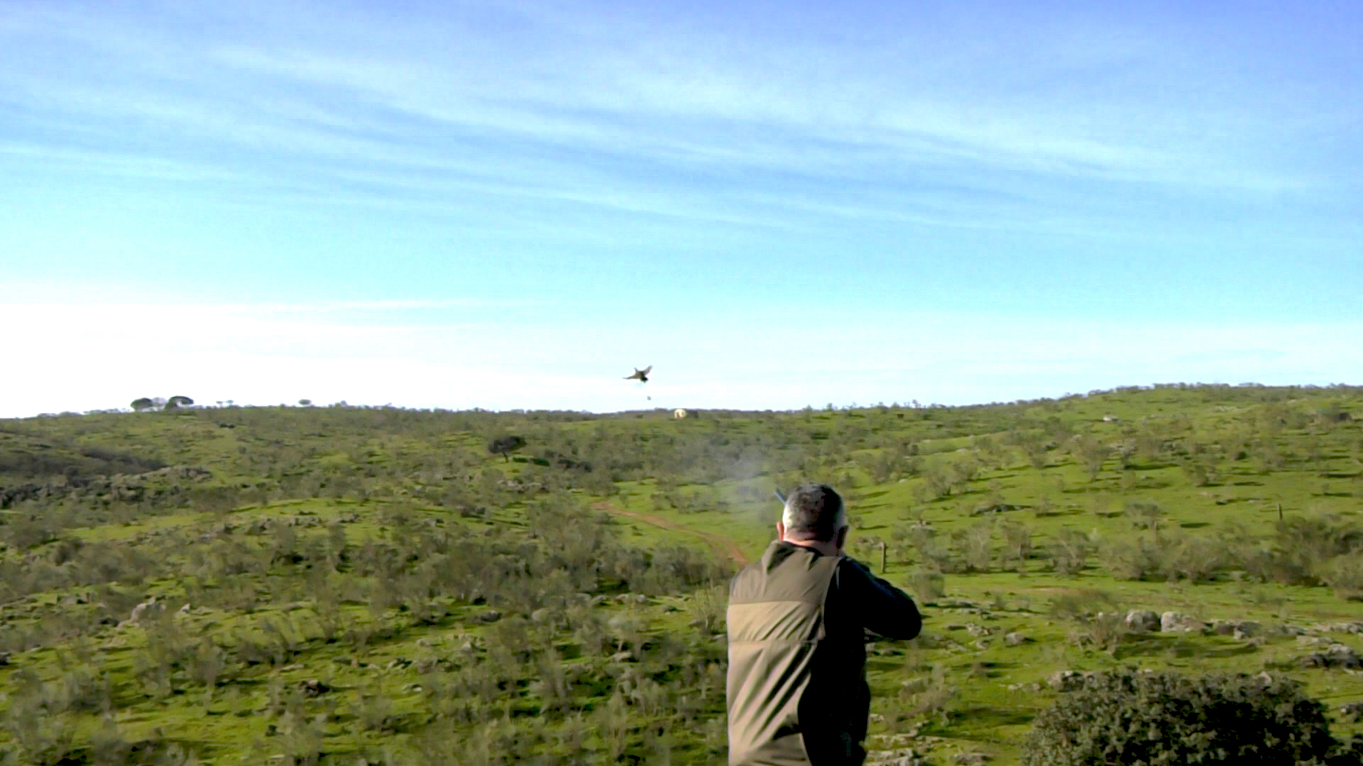 Especies al salto en los llanos de Cáceres