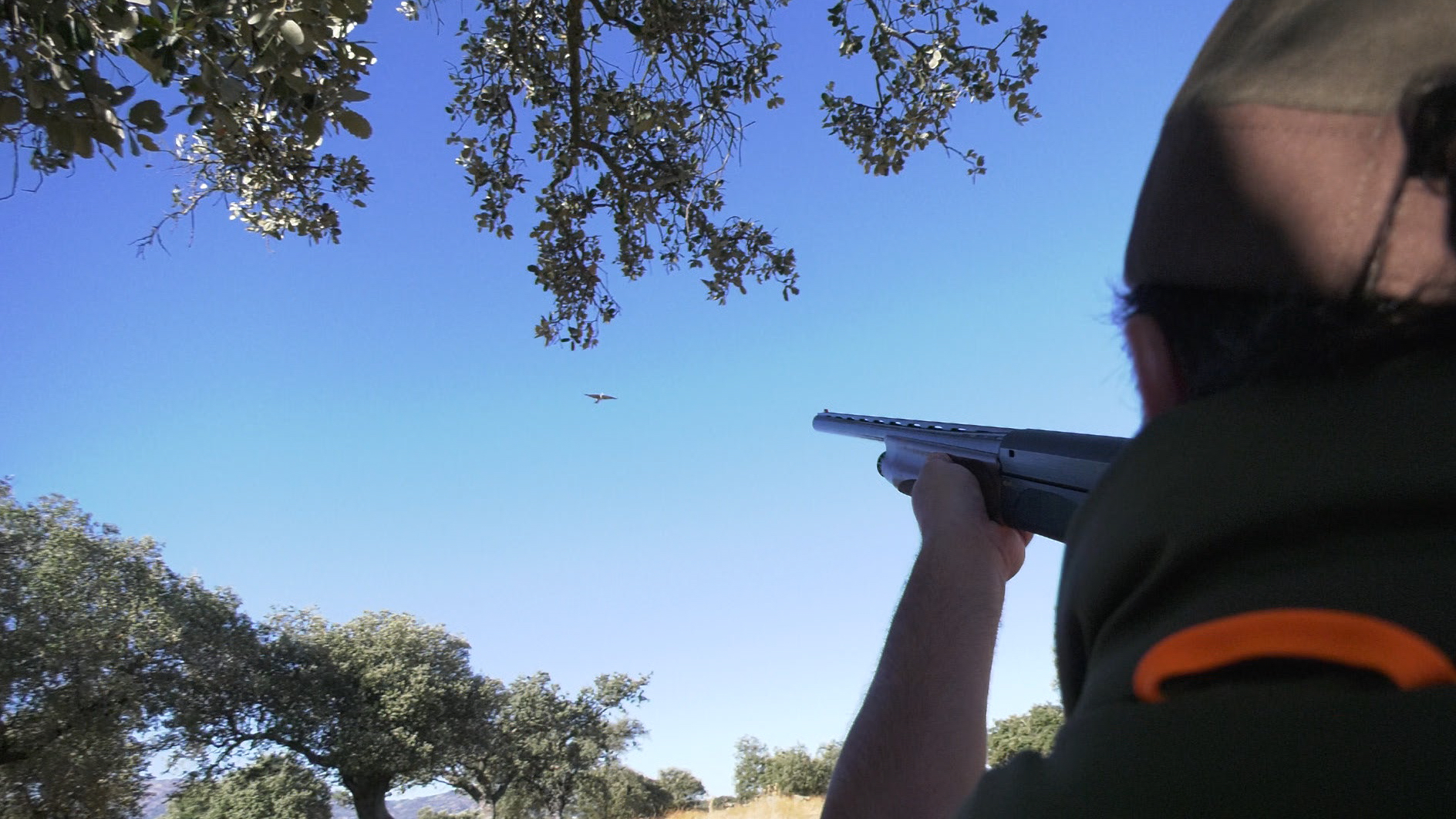 ¿Habrán elegido un buen puesto nuestros cazadores para la jornada a palomas?