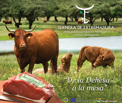 Ternera de Extremadura, otro sello de calidad más para los productos extremeños