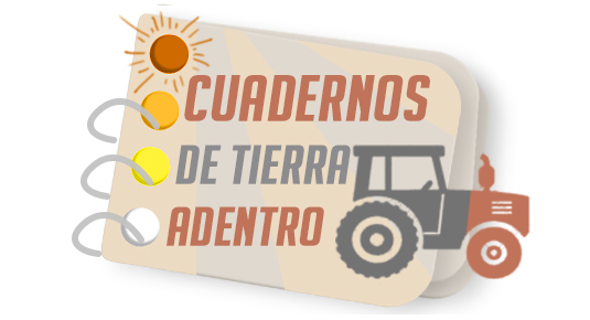 Extremadura: El gran mercado de ganado (23/01/21)