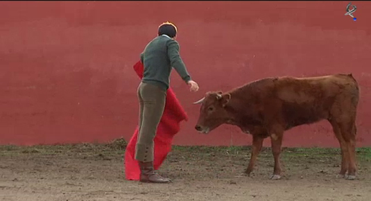 ganadería de Eusebio Naranjo, tienta de vacas (11/02/12)