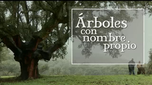 Árboles con nombre propio (10/04/16)