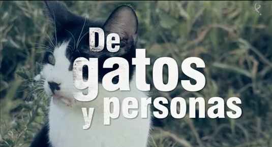 de gatos y personas (12/01/15)