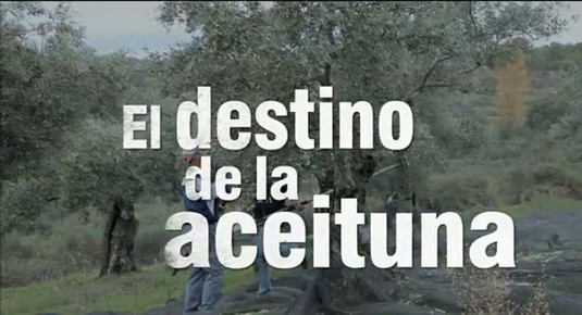 el destino de la aceituna (22/06/15)