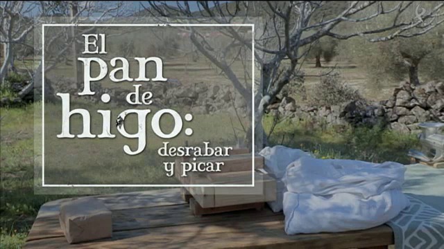 el pan de higo: desrabar y picar (23/11/15)