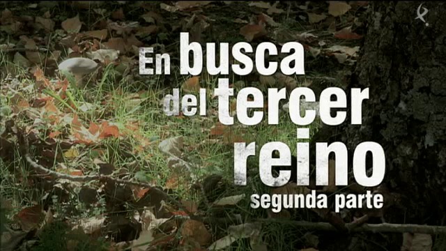 En busca del III Reino (II) (12/10/15)