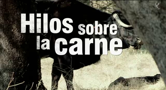 Hilos sobre la carne (26/05/14)