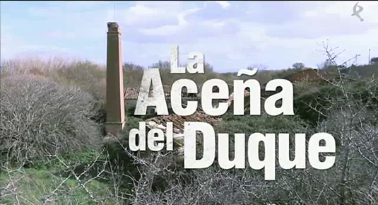 La Aceña del Duque (08/06/14)