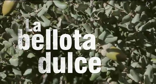 La bellota dulce (31/05/15)