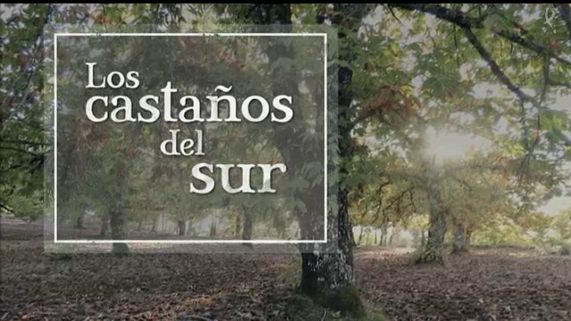 Los Castaños del Sur (01/02/16)