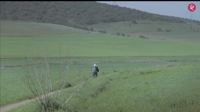 Los pasos perdidos