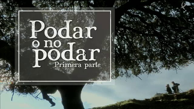 Podar o no podar (I) (19/10/15)