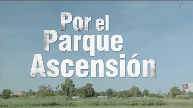 Por el Parque Ascensión (29/06/15)