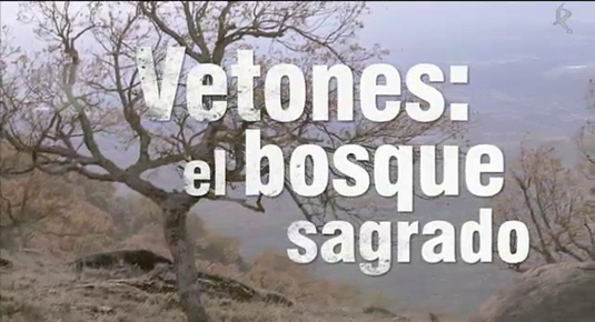 Vetones, el bosque sagrado (27/10/14)