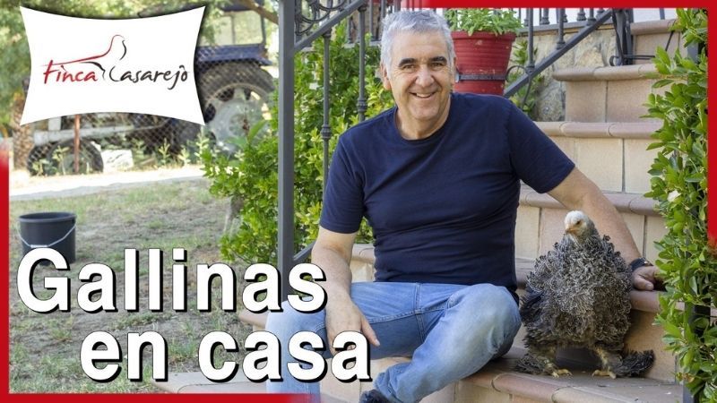 Ramón Barbado, el youtuber favorito de las gallinas (y de los amantes de las aves)