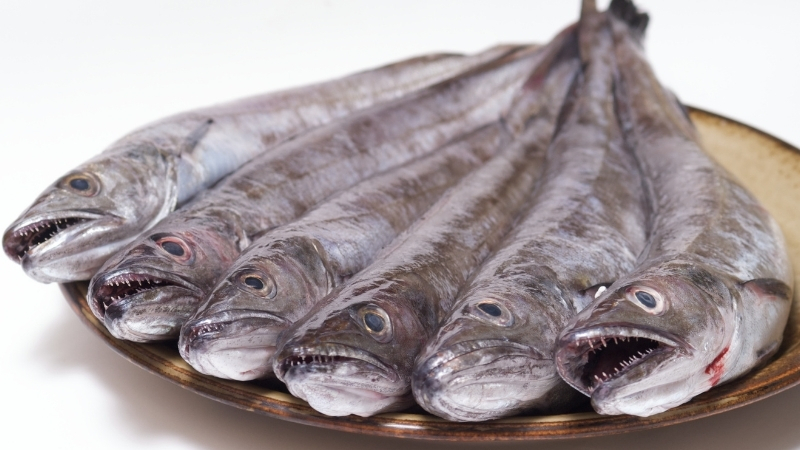 ¿Siguen siendo el bacalao y la merluza los pescados que más gustan a los extremeños?