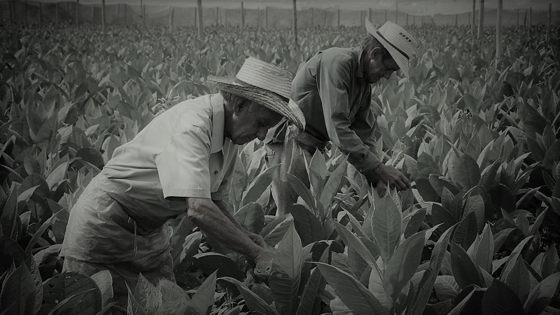 Los últimos tabaqueros de Medellín