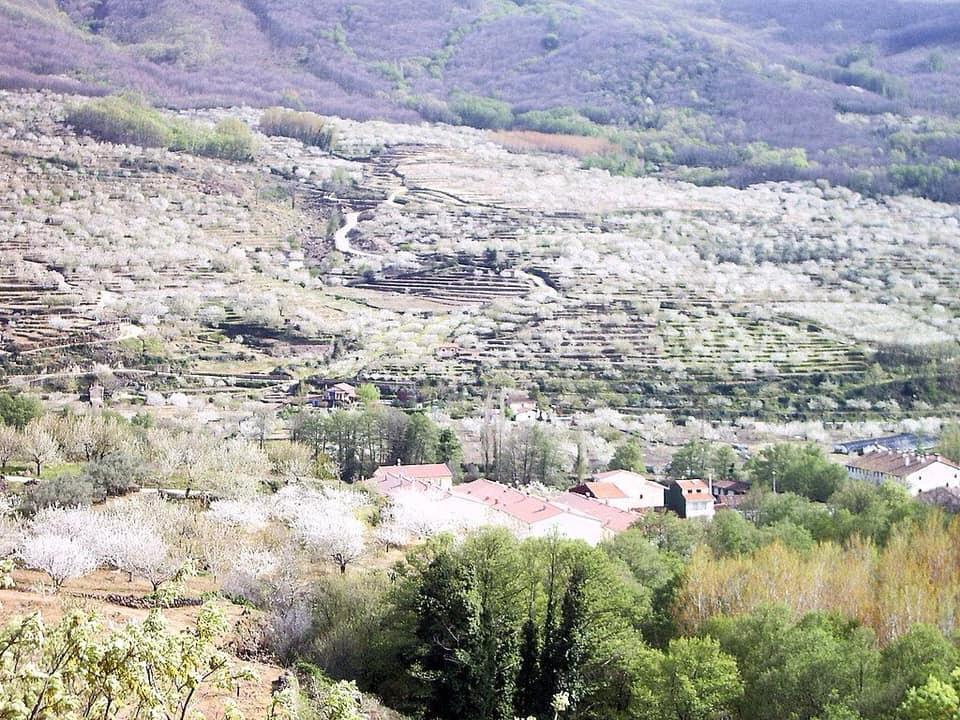 Disfrutamos del Puente de San José en el Valle del Jerte