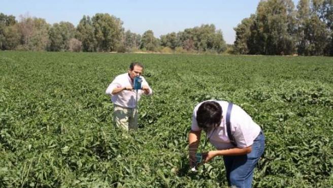 El arca de Noé extremeña, para conservar semillas y especies vegetales