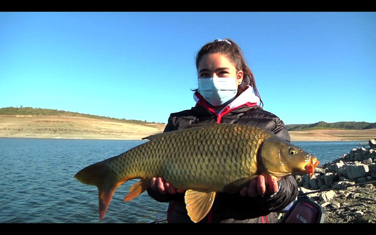 El montaje más adecuado para buscar barbos al feeder en aguas de Alcántara