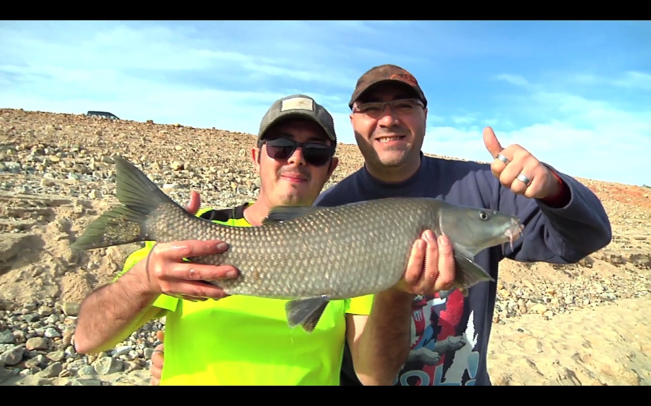 Pescando barbos en aguas del embalse de Alcántara