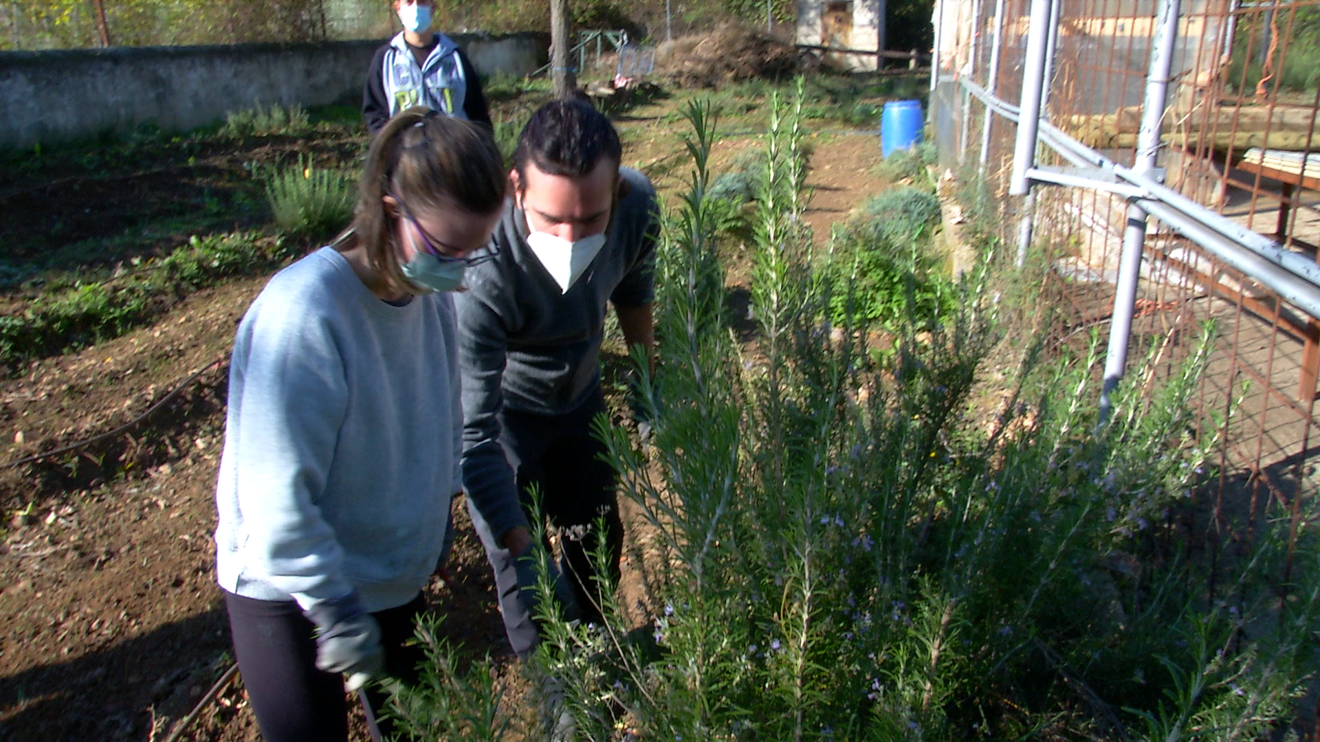 Huerto urbano: inclusivo y accesible