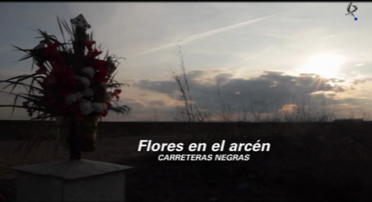 Flores en el arcén, Carreteras negras (01/04/12)