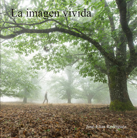 La Mirada Verde: libro «La imagen vivida»