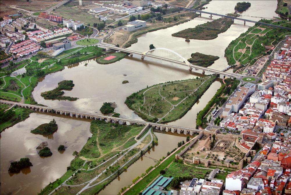 Terroneando: aves que prefieren vivir en ciudades